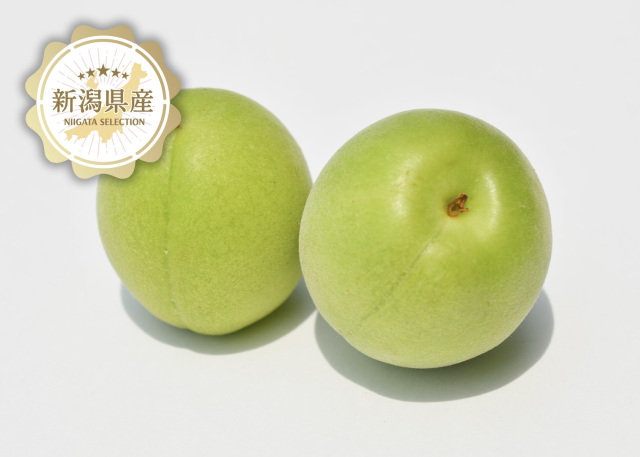 新潟青果市場「愛菜園倶楽部」｜新潟県 田上町産 越の梅－市場の目利き