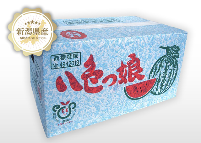 新潟青果市場「愛菜園倶楽部」｜新潟県 魚沼産 小玉西瓜【八色っ娘