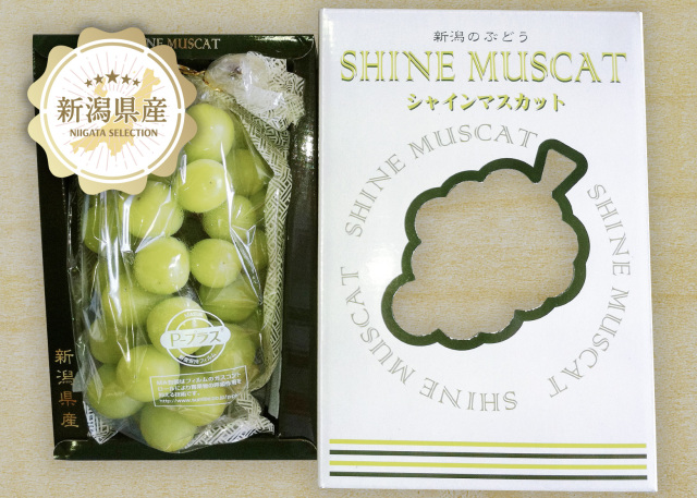 新潟青果市場「愛菜園倶楽部」｜新潟県産 シャインマスカット－市場の