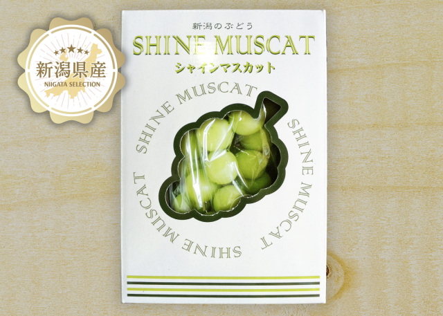 新潟青果市場「愛菜園倶楽部」｜新潟県産 シャインマスカット－市場の