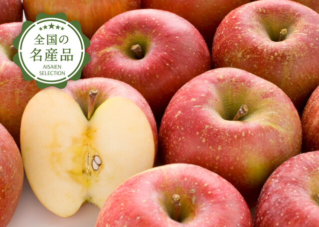 長野サンふじメイン