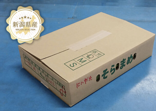 新潟青果市場「愛菜園倶楽部」｜新潟県産 そら豆－市場の目利きが