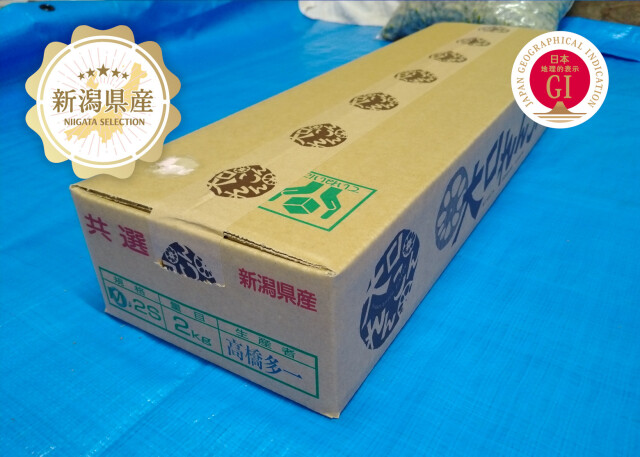 新潟青果市場「愛菜園倶楽部」｜新潟県長岡市中之島 大口れんこん 2kg