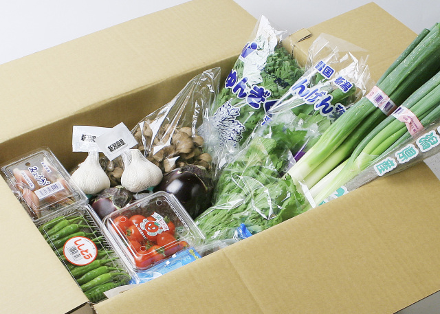 野菜セット