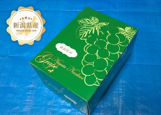 シャイン箱1