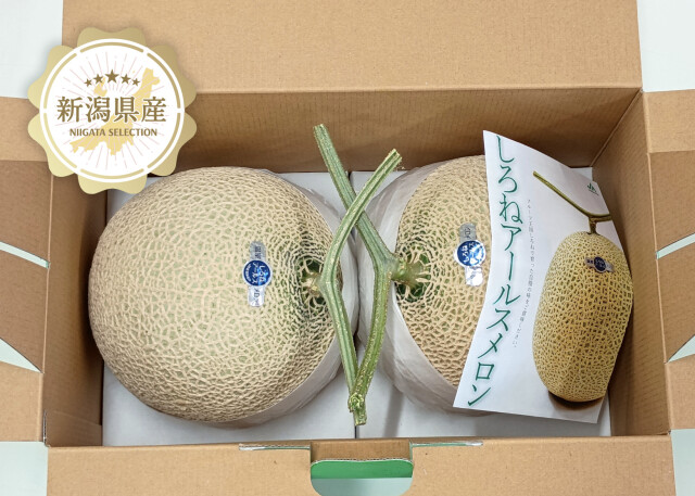 新潟青果市場「愛菜園倶楽部」｜新潟県 白根地区産 純系アールスメロン
