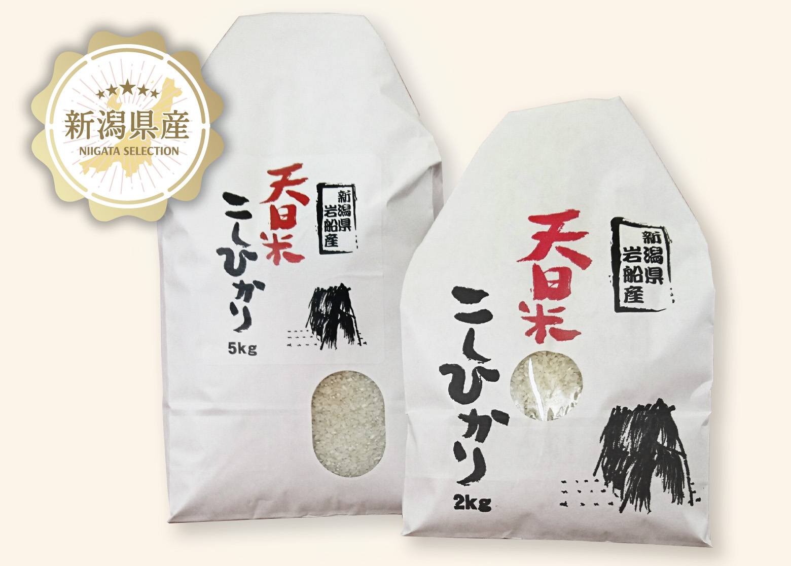 天日米こしひかり