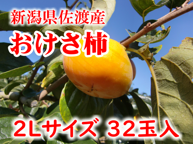 新潟県佐渡産 おけさ柿 秀品 2lサイズ32玉 二段箱 10月中旬出荷開始
