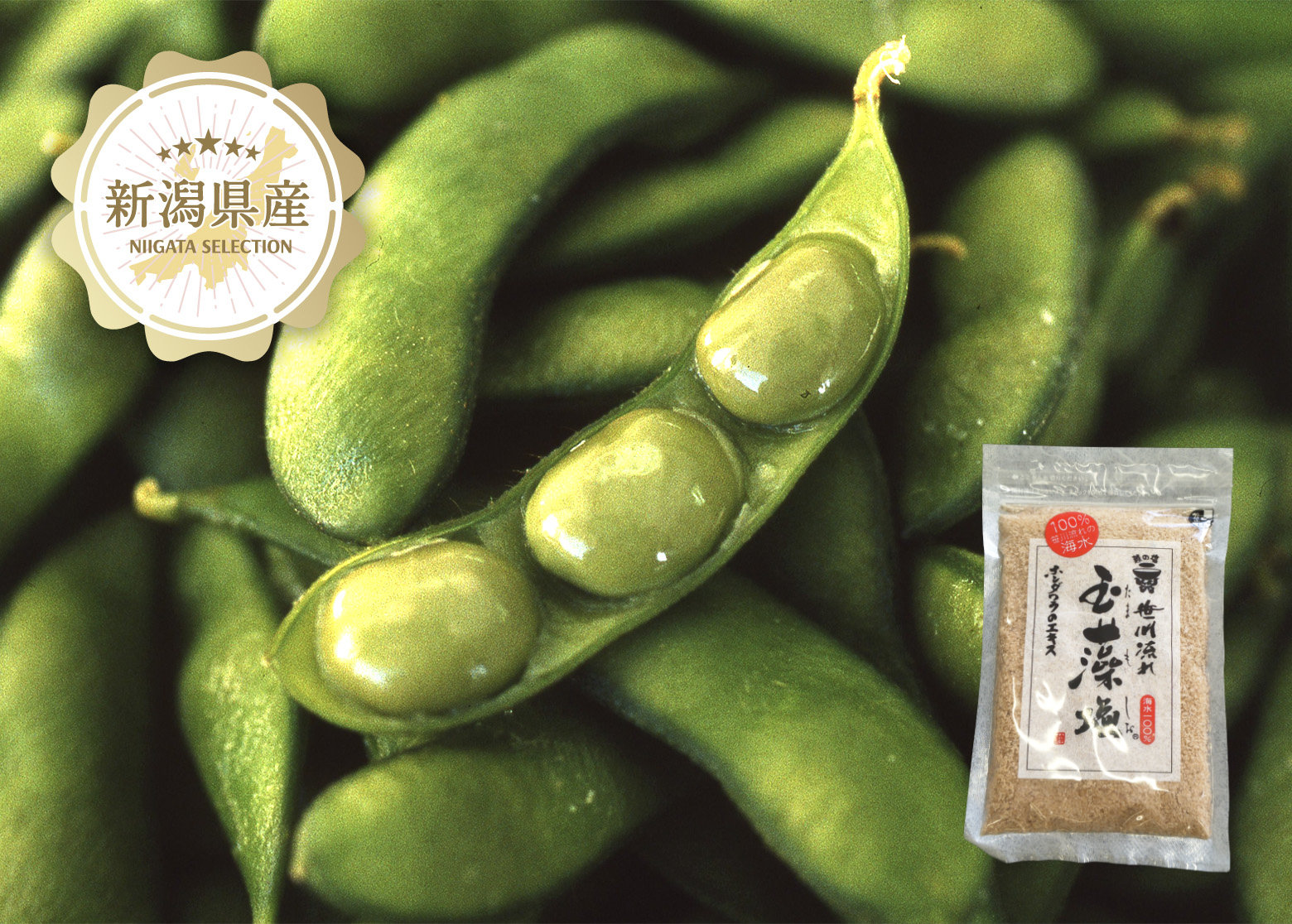 新潟県産 ぴかり茶豆（新潟あま茶豆） + 笹川流れの玉藻塩【予約販売：8月中旬～9月上旬 出荷予定】新潟ブランド枝豆と塩のオトクなセット！