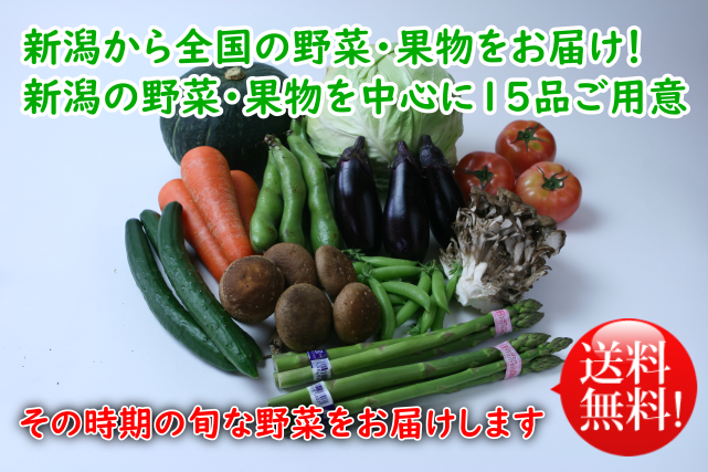今が旬な野菜 果物15品セット 新潟産を中心に全国の定番旬野菜をお届け