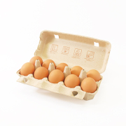 愛鶏園GH1　紅たまご10個パック