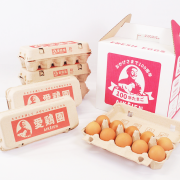 愛鶏園GH1　紅たまご60個