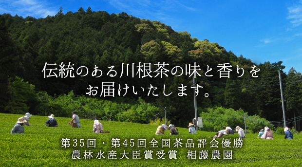 静岡茶・川根茶の相藤農園 農林水産大臣賞受賞