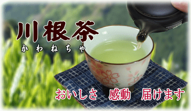 龍さん　無農薬栽培の川根茶　100g×10袋　農家直売　静岡茶 お徳用 静岡茶 川根茶 100g×6袋 | 大五グルメセレクション（静岡