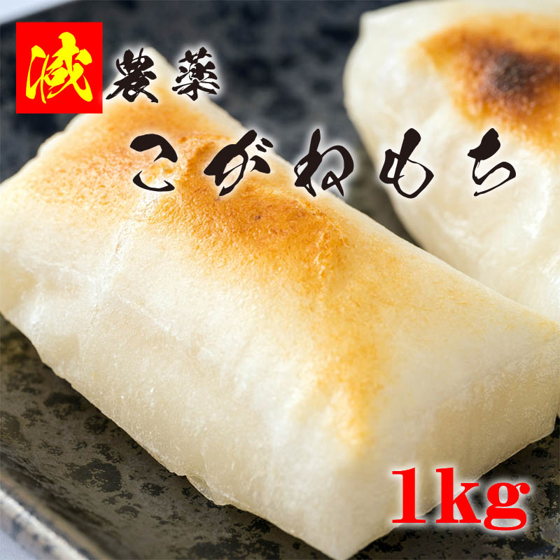 特別栽培米 会津産 こがねもち 1kg