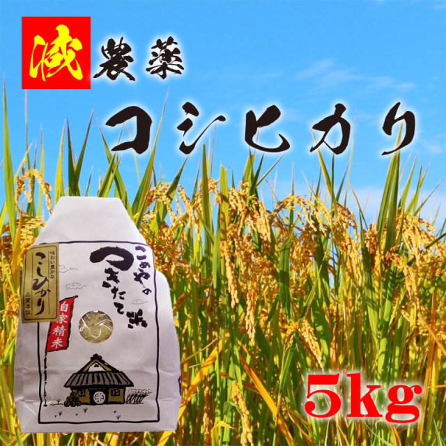 会津産 減農薬コシヒカリ 5kg