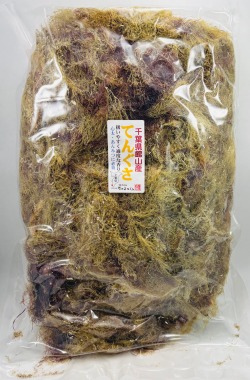 舘山てんぐさ