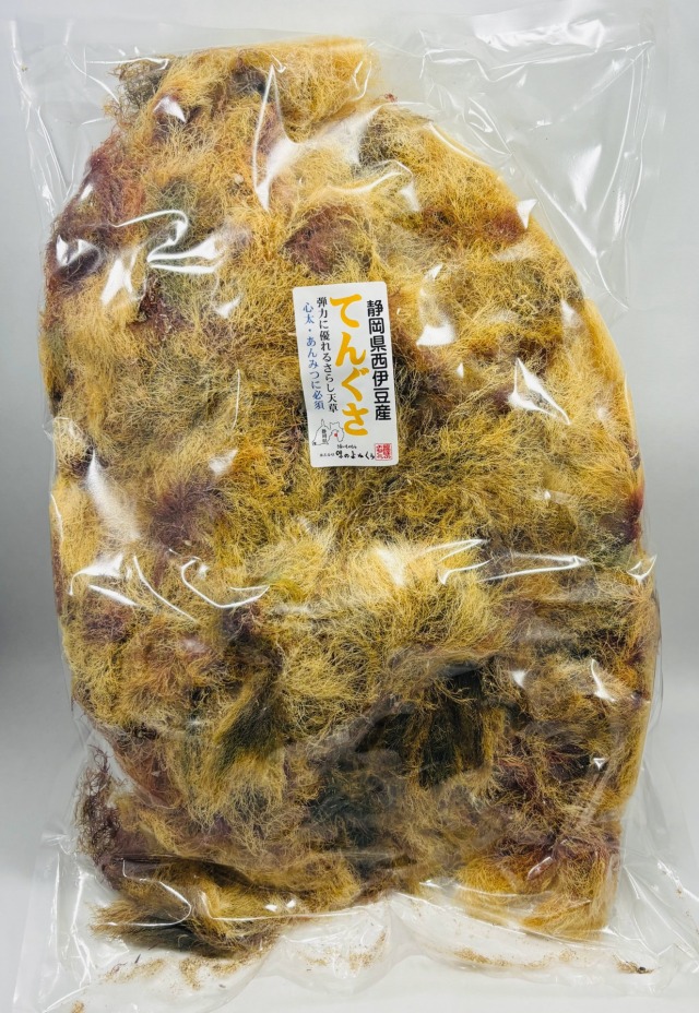 ★GW SALE★静岡県　西伊豆　戸田産　天草　てんぐさ　ところてん 国内産ところてんぐさ 500g（お徳用・業務用） テングサ てんぐ