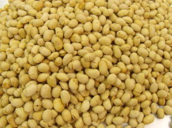 煎り大豆/富山県産