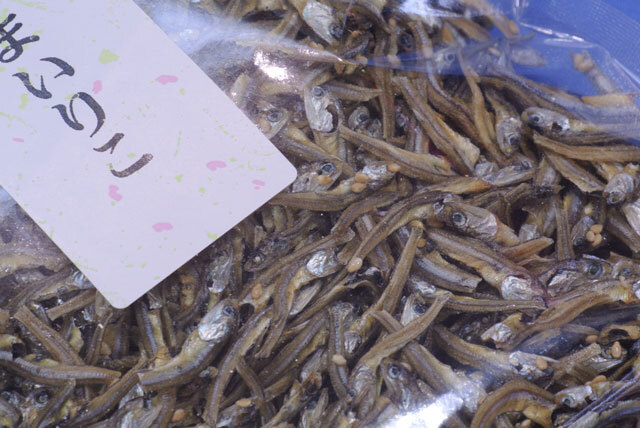 ごまいりこ(どっさり１ｋｇ)お菓子感覚のごま付き食べる煮干し雑魚珍味♪／送料込 ごまいりこ(どっさり1kg)お菓子感覚のごま付き食べる煮干