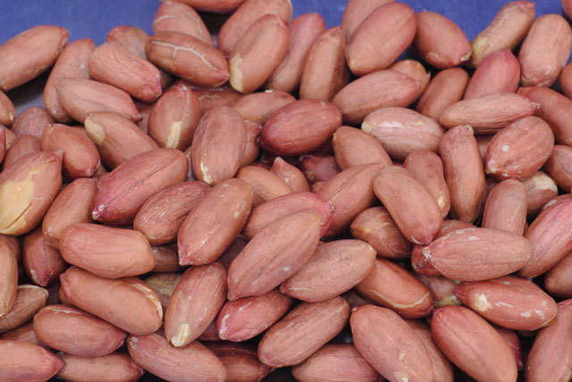 薄皮付ピーナッツ 落花生 渋皮付き うす塩付ピーナッツ通販 味本舗の落花生 購入page