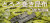 とろろ巻き昆布は一口昆布珍味