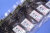 いかすみさきいか70g5パック