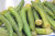 おくらチップスはフライ野菜おつまみ