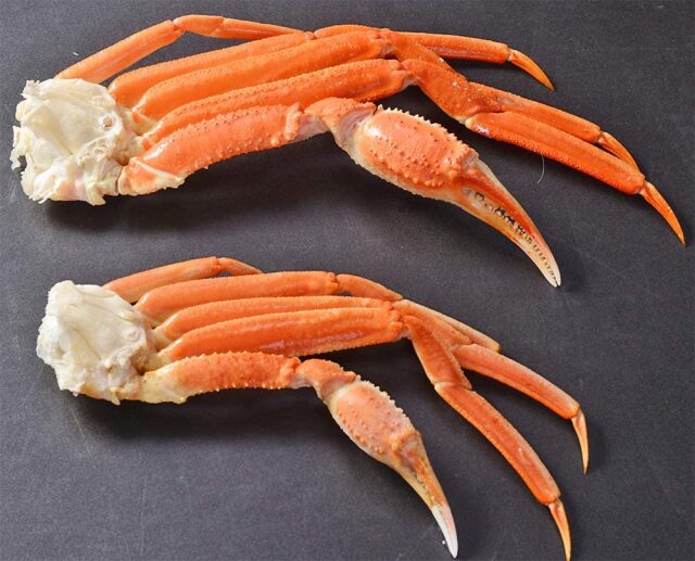 値下げ　本ズワイガニ脚4キロセット（5Lサイズ　10肩）ズワイ蟹 豪快 ジャンボずわいがに脚スペシャル（4L～5L）1.5kgセット