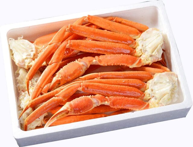 特大 4L～5L 本ズワイガニ 極太 肩付き脚 ボイル
