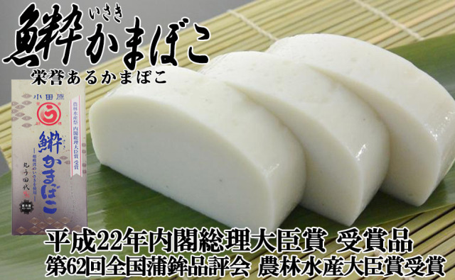 丸う田代 最高級かまぼこ いさき蒲鉾 訳ありで半額以下 小田原名産 贈答用 ギフト 祭事用 仕出し用 丸う田代 最高級かまぼこ いさき蒲鉾 訳ありで半額以下 小田原名産 贈答用 ギフト 祭事用 仕出し用