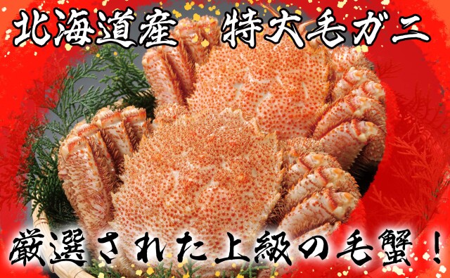 毛ガニ