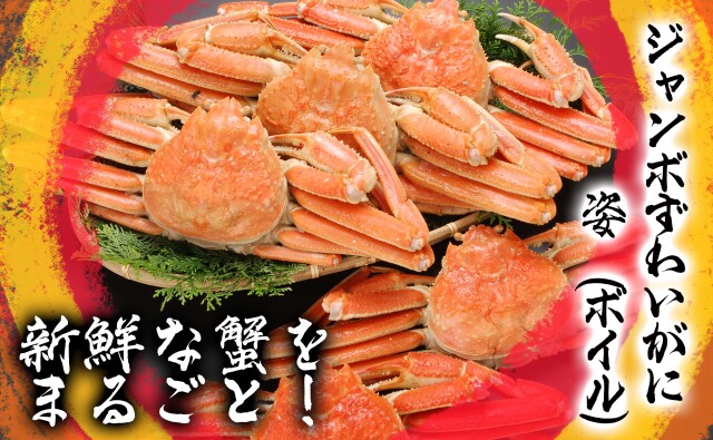 ズワイ姿