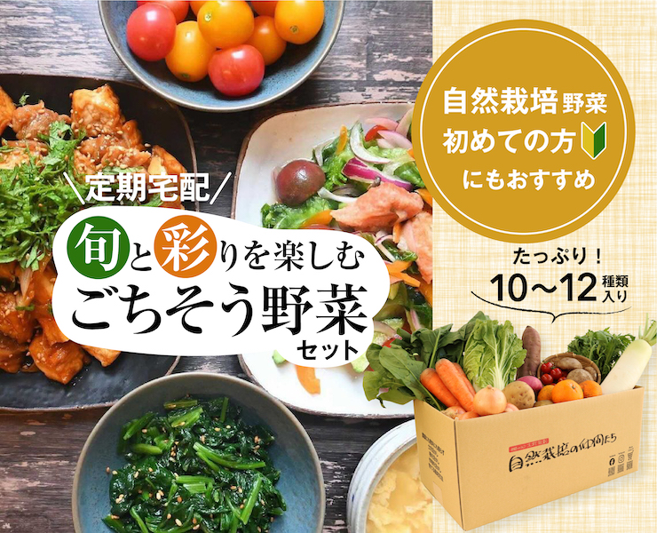 旬と彩りを楽しむごちそう野菜セット