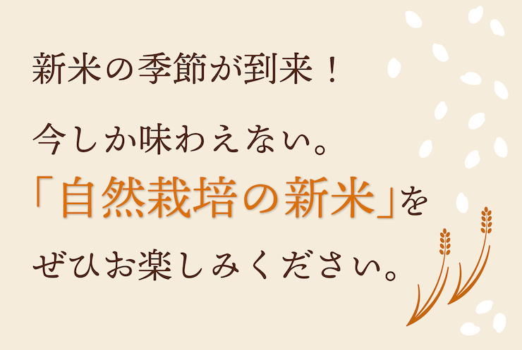 新米の季節がやってきた!