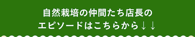 ごちそう野菜セットFV店長01