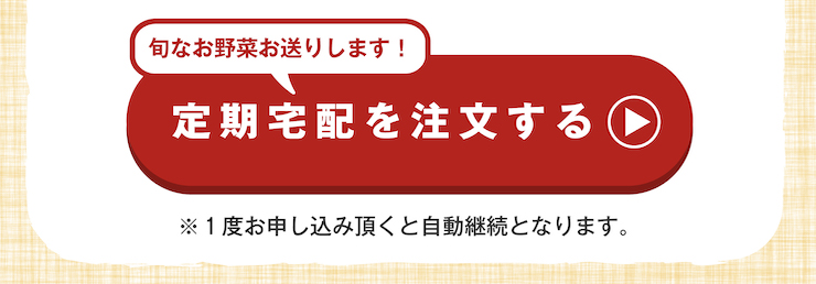 ごちそう野菜セット
