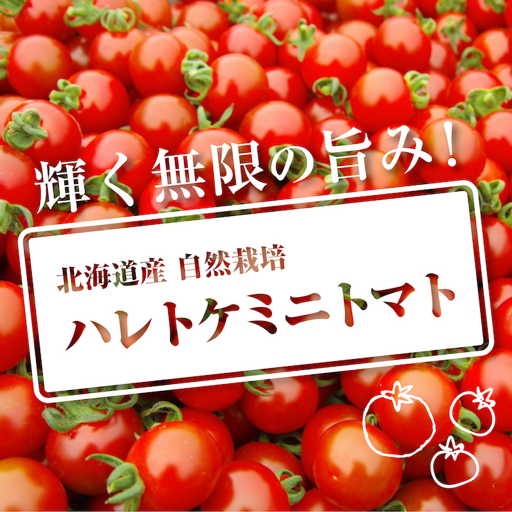 ハレトケミニトマト2021