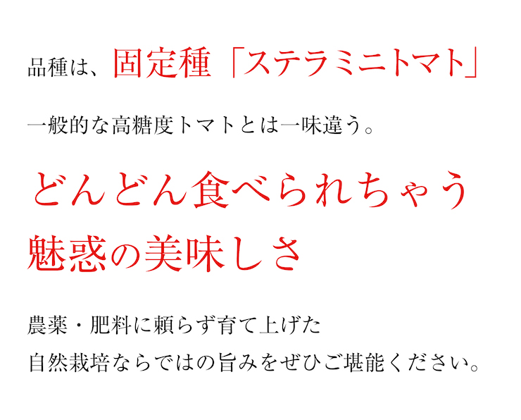 ハレトケミニトマト2021