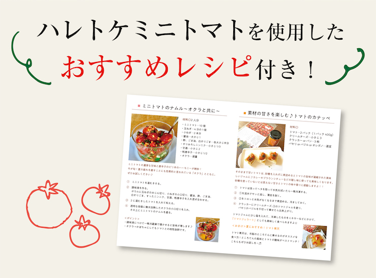 ハレトケミニトマト2021