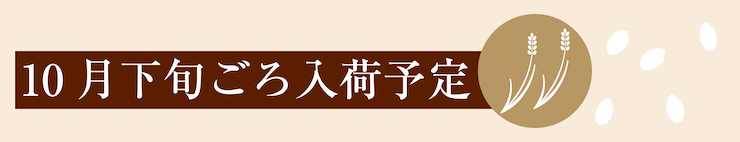 10月下旬 入荷予定