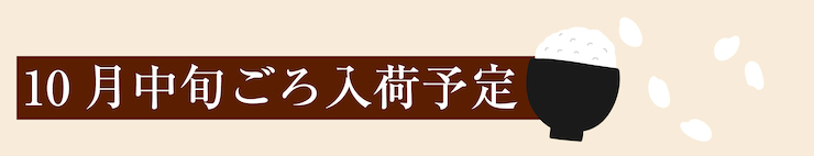 10月中旬 入荷予定