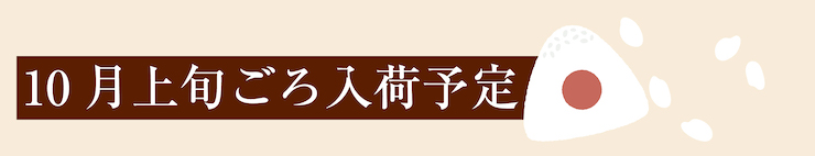 10月上旬 入荷予定