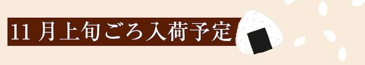 11月上旬 入荷予定
