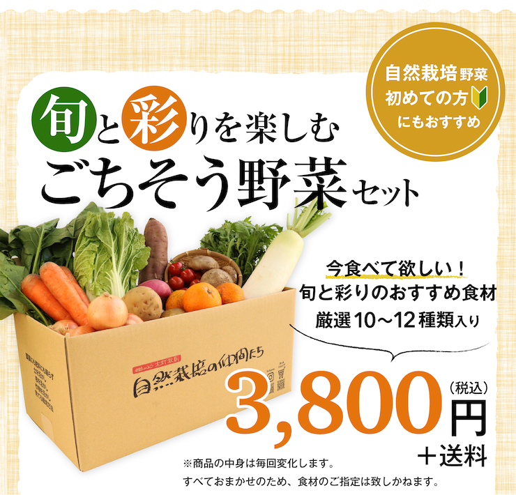 ごちそう野菜セット