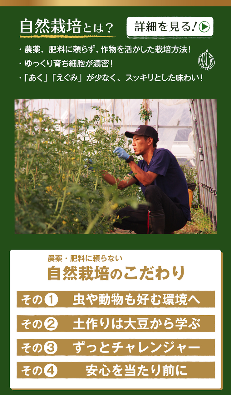 プレミアム野菜ジュース