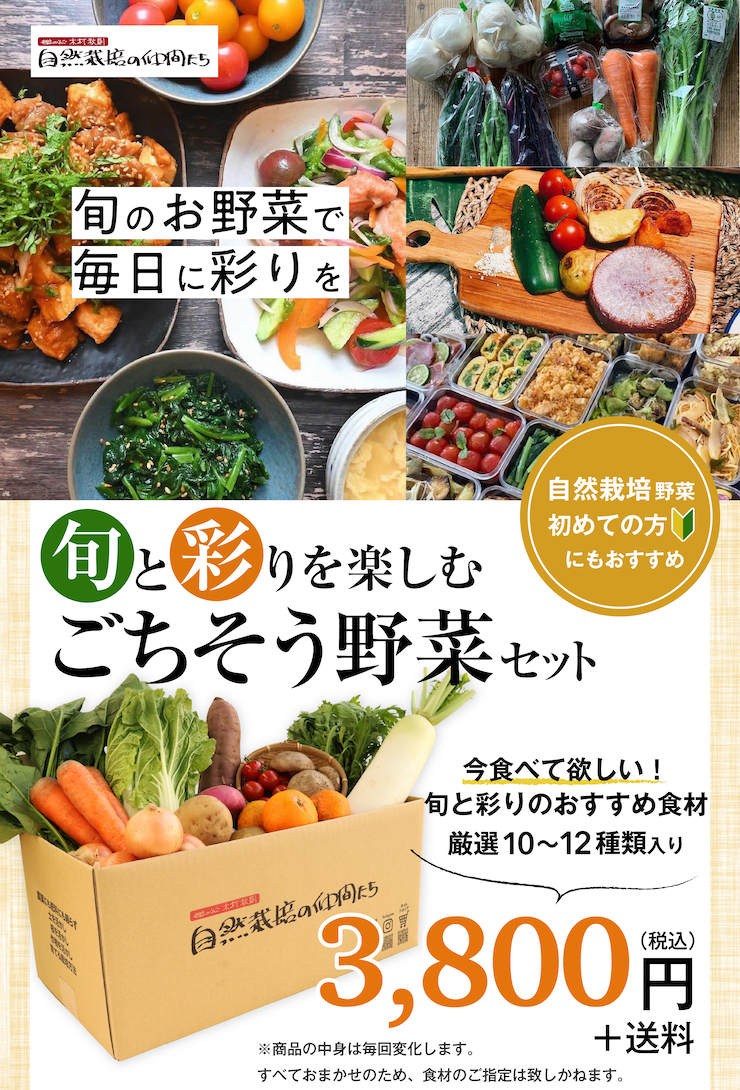 ごちそう野菜セット