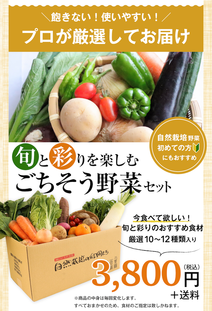 ごちそう野菜セット