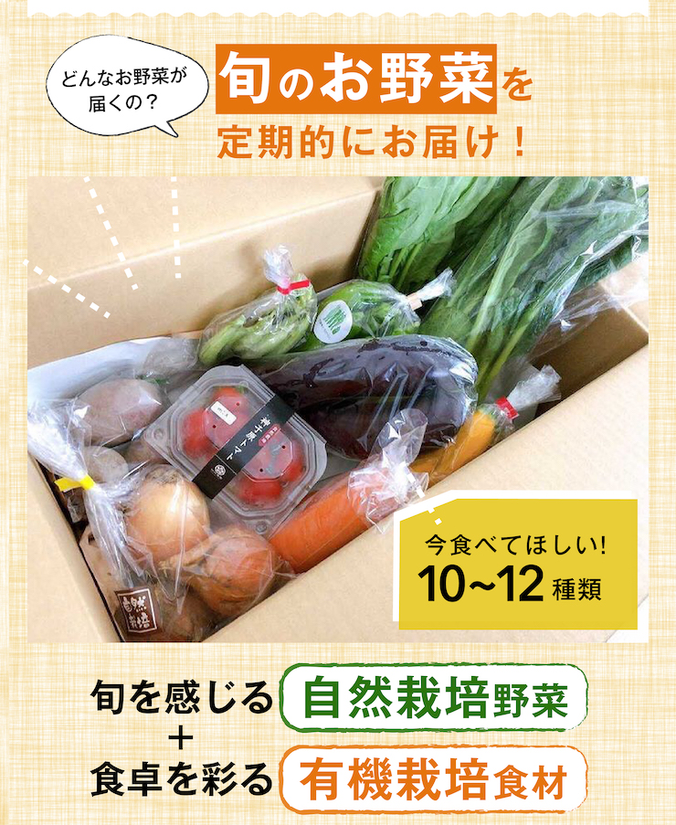 ごちそう野菜セット