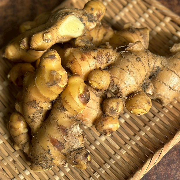 生姜1kg